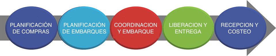 Portada de consultoría especializada en comercio exterior y cadena de logística en Ecuador