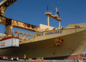 Dole unifica servicios de transporte de carga refrigerada entre ...