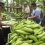 Fenaprope y BanEcuador firman acuerdo para apoyar la producción de plátano