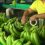 Bananeros ecuatorianos abogan por precios justos y sostenibilidad en Fruit Logistica 2024 en Berlín