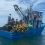 Autoridades ecuatorianas intensifican acciones para combatir la pesca ilegal en aguas costeras