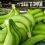 Los bananeros costarricenses, preocupados por los efectos de la depreciación del dólar