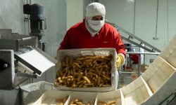 Pronaca hace su primera exportación de croquetas y deditos de pescado; ¿adónde va?