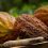 ¿Cuánto costará el cacao, el oro y el petróleo en 2025? Esto proyecta el Banco Mundial para estos productos clave de Ecuador