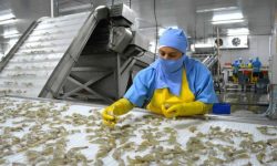 Ecuador busca fortalecer exportaciones y avanzar en acuerdos comerciales, dice Noboa