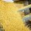 ECUADOR: Productores agrícolas de ciclo corto exigen inclusión en negociaciones del TLC con EE. UU.