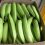 ECUADOR: Precio del plátano se dispara y escasez se agrava