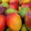 ECUADOR: Mango, el más afectado por aranceles y tarifas