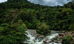 Ecuador y Colombia presentan resultados de proyecto binacional de manejo hídrico