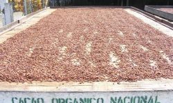 ECUADOR: Manta acogerá el 7.º Congreso Ecuador Orgánico